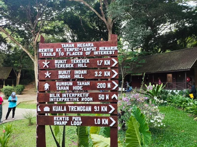 Jerantut District - Photo 2