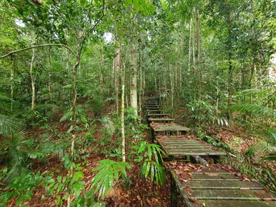 Jerantut District - Photo 3