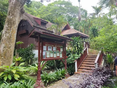 Jerantut District - Photo 4