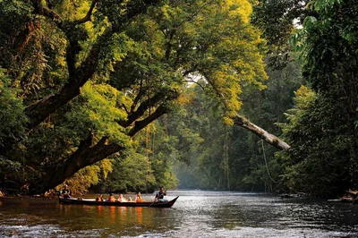 Jerantut District - Photo 5