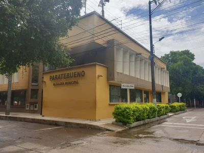 Paratebueno - Photo 2