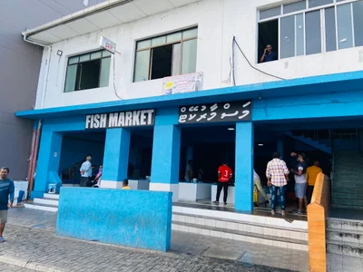 Fish Market - Photo 3
