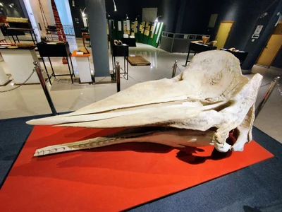National Museum - Photo 5