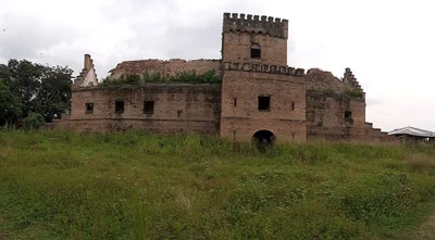 Dungu - Photo 3