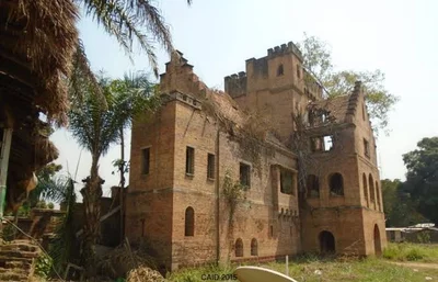 Dungu - Photo 5