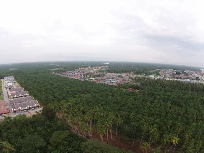 Sabak Bernam - Photo 3