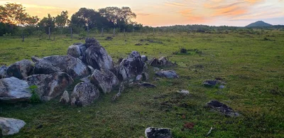 Amajari - Photo 3