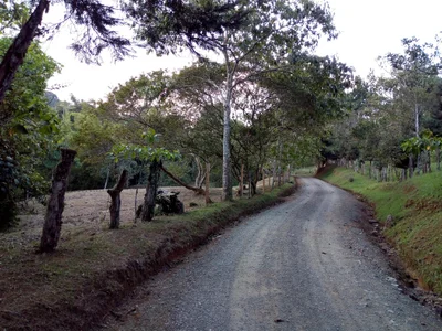 La Elvira - Photo 2