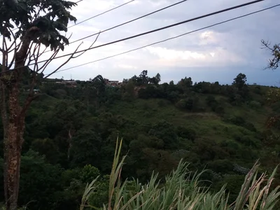 La Elvira - Photo 3