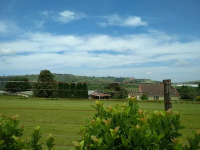 uMshwathi Local Municipality - Photo 3
