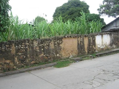 Rivera - Photo 5