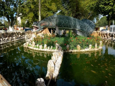 Morelia - Photo 2