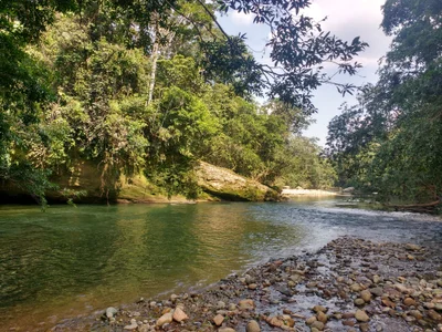 Belén de Los Andaquíes - Photo 2