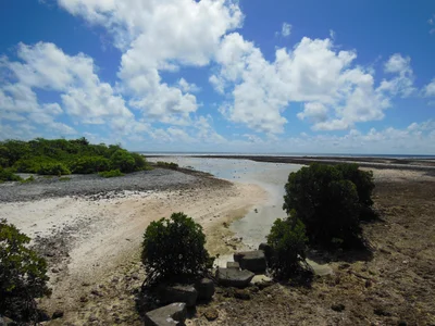 North Tarawa - Photo 4