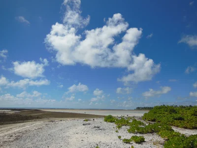 North Tarawa - Photo 5