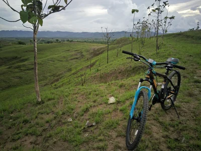 Batubangga - Photo 2