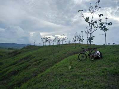 Batubangga - Photo 4