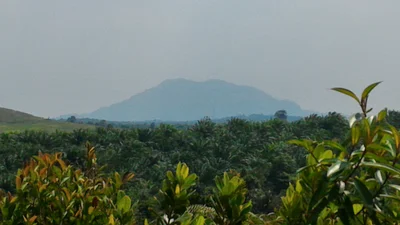 Toapaya Utara - Photo 2