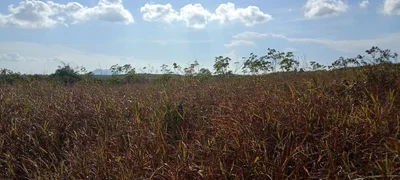 Toapaya Utara - Photo 3