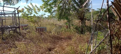 Toapaya Utara - Photo 4