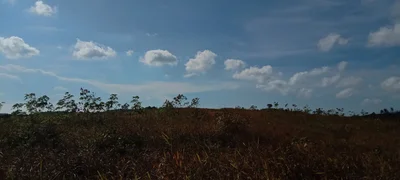 Toapaya Utara - Photo 5
