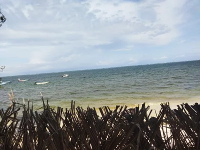 Bongandanga - Photo 2