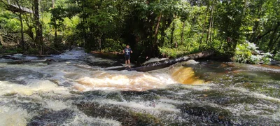 Serra do Navio - Photo 5
