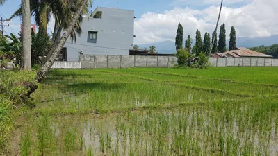 Pidolik Dolok - Photo 2