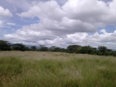 Mogotio - Photo 3