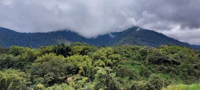 Nanegal - Photo 2