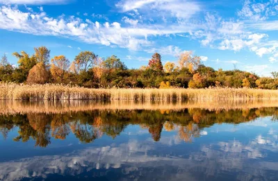 Turtle Lake - Photo 3