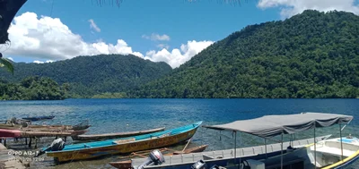 Warsamdin - Photo 2