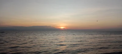 Tanjungjapara - Photo 4