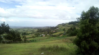 Lari/Kirenya ward - Photo 2