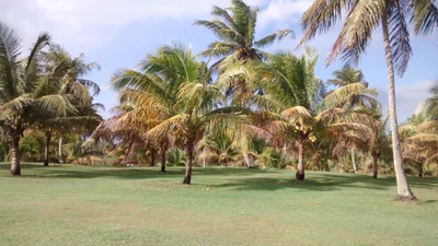 Sambava - Photo 4