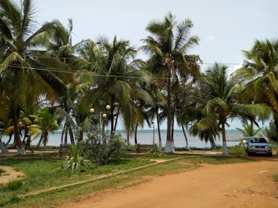Bopa - Photo 2