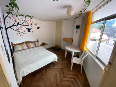 Hostal Plantas y Blanca - Photo 5
