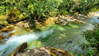 Mera - Photo 3