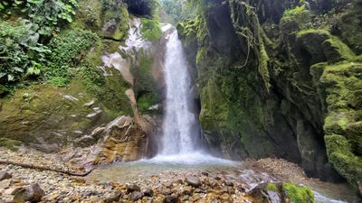 Mera - Photo 5