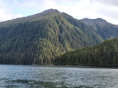 Sitka - Photo 2