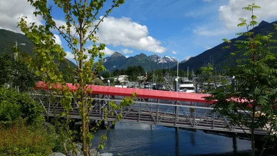 Sitka - Photo 4