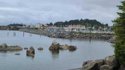 Sitka - Photo 5