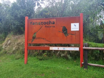 Yanacocha - Photo 4