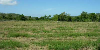 Sinchal - Photo 3