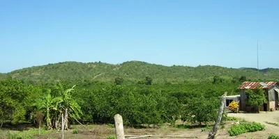 Sinchal - Photo 4