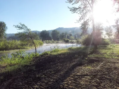 Garden Valley - Photo 3