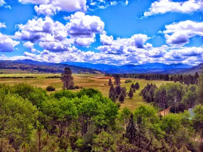 Garden Valley - Photo 4