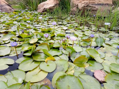 Biharamulo - Photo 2
