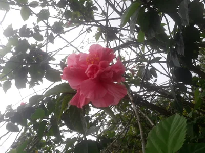 Sucua - Photo 2