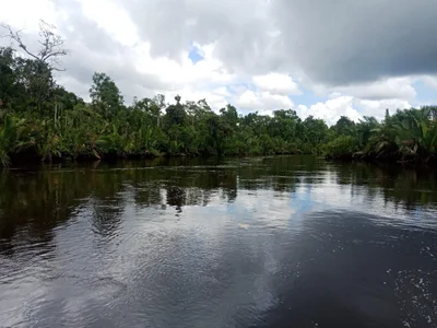 West Kotawaringin - Photo 2